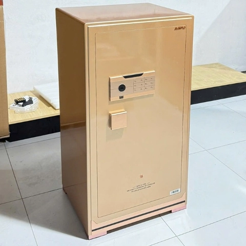 Két sắt nhập khẩu AIPU ZR-100VI vân tay cỡ lớn