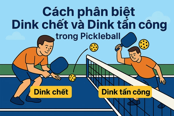 Phân biệt dink bóng chết và dink tấn công trong Pickleball