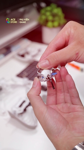 Teardown Flydigi Apex 6 Pro - Mổ bụng tay cầm xem bên trong có gì