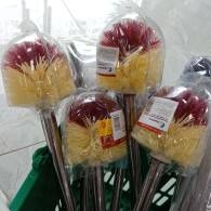 Cọ vệ sinh tròn dáng dài