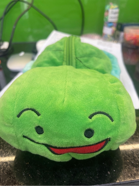 Túi Đựng Bút Rùa Xanh