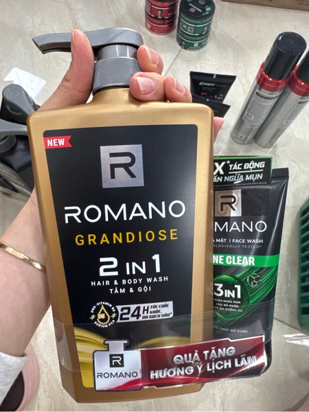 Tắm gội 2 trong 1 Romano Grandiose