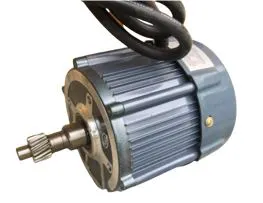 Động cơ xe điện 3 bánh - một trong những phụ kiện xe điện được tìm mua nhiều nhất