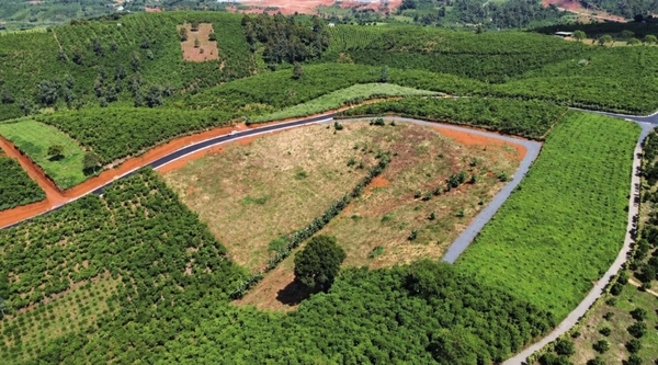 Bán nguyên khu đất 15.000m² Trần Quang Khải, Bảo Lộc – mặt tiền khoảng 100m