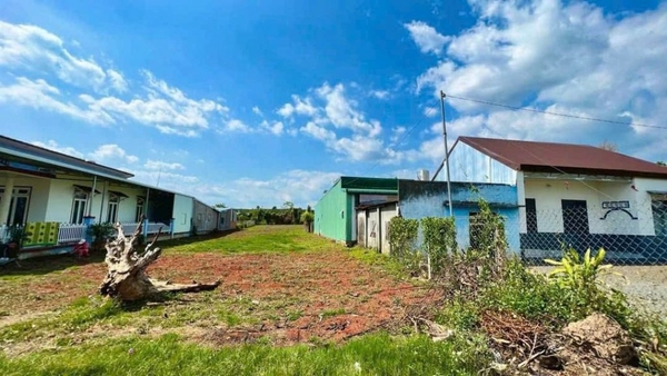 Đất 2.000m² Có 200m² Thổ Cư Đường Đoàn Thị Điểm – Bảo Lộc