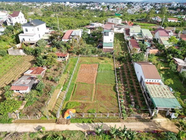 Đất 724m² hẻm Lý Thái Tổ, Bảo Lộc – 300m² thổ cư, ngang 18,8m