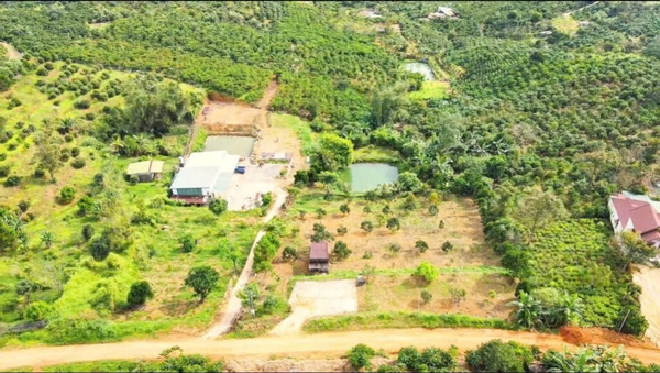 Bán 2573 m2 mặt tiền đường Hàm Nghi Đại Lào Bảo Lộc Lâm Đồng