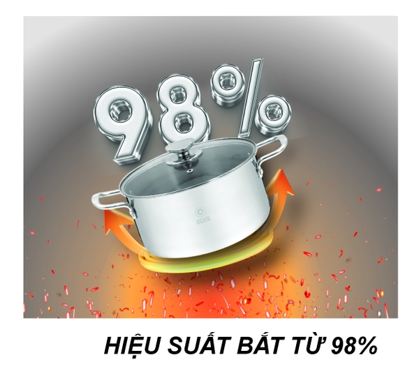 Chảo rán 24 nguyên khối cao cấp OGIER