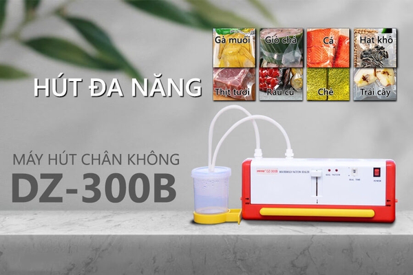 Máy hút chân không DZ-300B mini