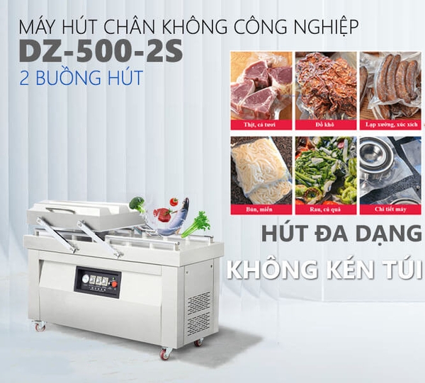 Máy hút chân không 2 buồng DZQ-500-2SA công nghiệp