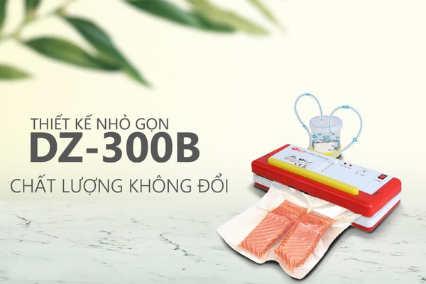 Máy hút chân không DZ-300B mini