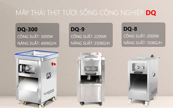 Máy Thái Thịt Tươi Sống DQ-300 Công Nghiệp