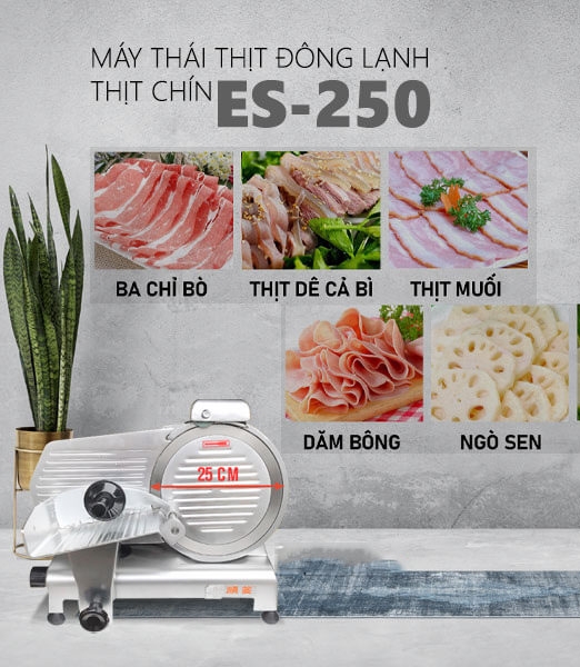 Máy Thái Thịt Đông Lạnh và Thịt Chín ES-250