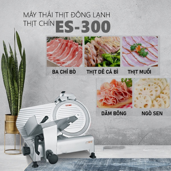 Máy Cắt Thịt Đông Lạnh & Thịt Chín ES-300
