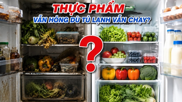 Vì sao thực phẩm vẫn nhanh hỏng dù tủ lạnh hoạt động bình thường?