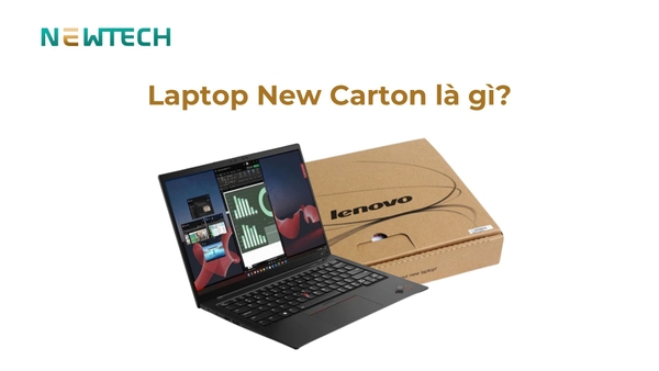 Laptop New Carton là gì? Phân biệt với các dòng khác