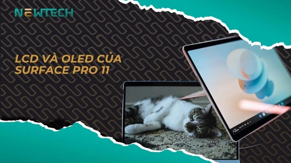 Surface Pro 11 LCD vs OLED: nên chọn màn nào theo nhu cầu?