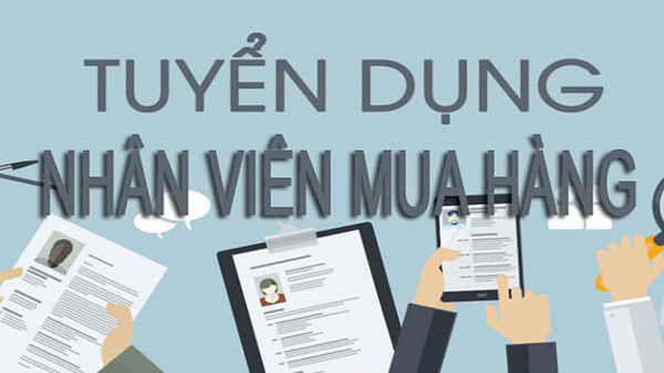 Tuyển dụng chuyên viên thu mua