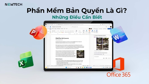 Phần mềm bản quyền: Những gì cần biết trước khi mua