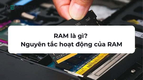 RAM là gì? Nguyên tắc hoạt động và các loại RAM phổ biến