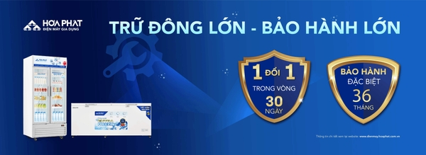 Tủ trữ đông lớn
