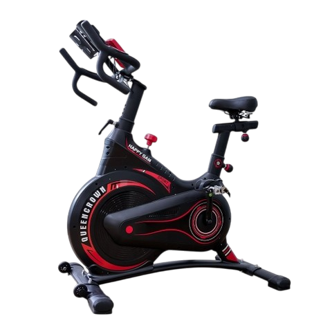 Xe đạp tập thể dục Queen Crown 500 Sport