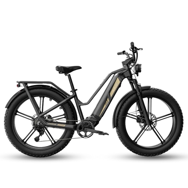 Xe Đạp Trợ Lực Điện Fiido Titan M25