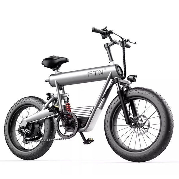 Xe đạp trợ lực điện Coswheel T20