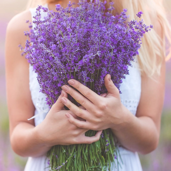 Hiệu thuốc xanh giữa lòng thiên nhiên, nơi làn da được chữa lành bằng thảo mộc