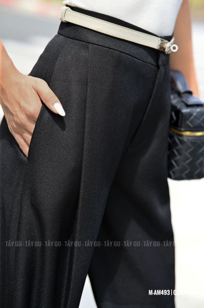 Quần Thiết Kế Dáng Suông Baggy Đứng Form MERIT Taygu | QTK30