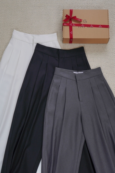 Quần Thiết Kế Dáng Baggy Xếp Ly Trước BAGI Taygu | QTK21