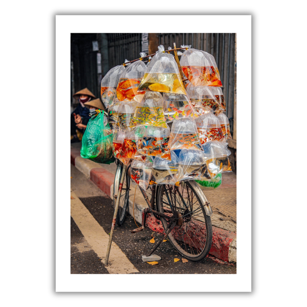 MARCUS LACEY - 'FIsh Bike' Print