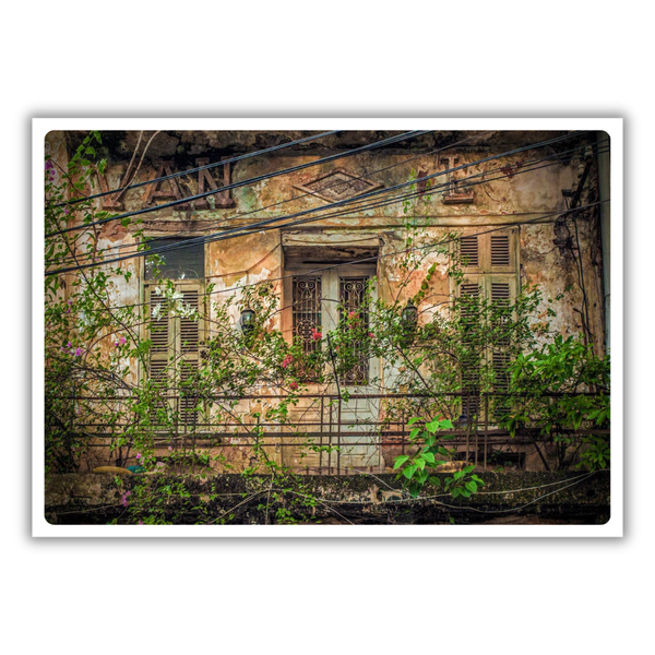 MARCUS LACEY - 'Window' Postcard