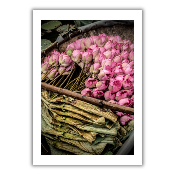 MARCUS LACEY - 'Lotus' Print