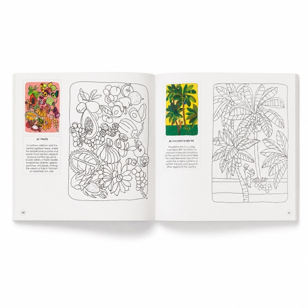 Wonderful Vietnam Coloring Book