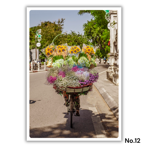 MARCUS LACEY - 'Flower Bike' Postcard