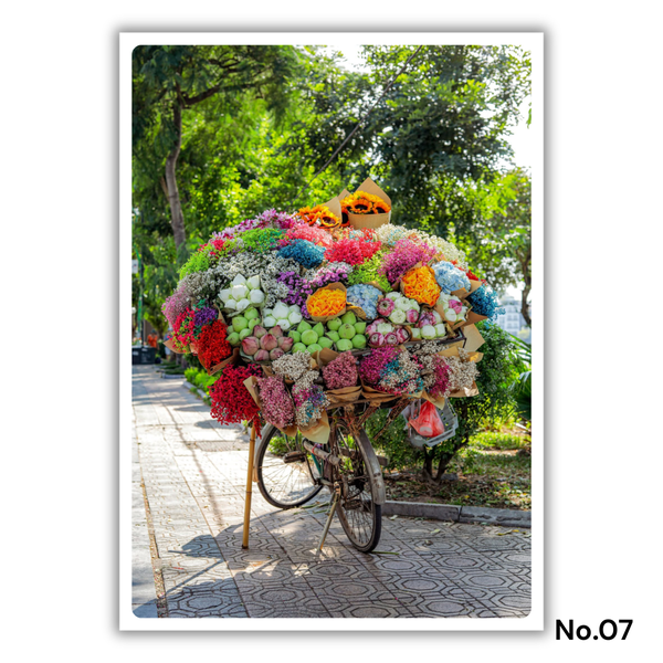 MARCUS LACEY - 'Flower Bike' Postcard