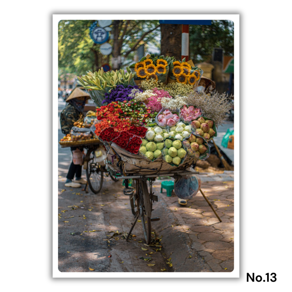 MARCUS LACEY - 'Flower Bike' Postcard