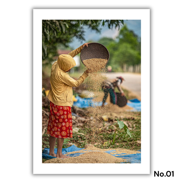 MARCUS LACEY - 'Vietnamese Farmer' Print