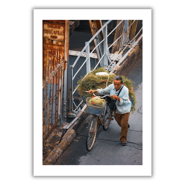 MARCUS LACEY - 'Hay Bike' Print