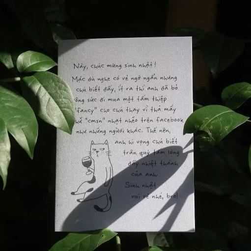 I Have Been There - 'Cat’s Drinking Wine' Greeting Card