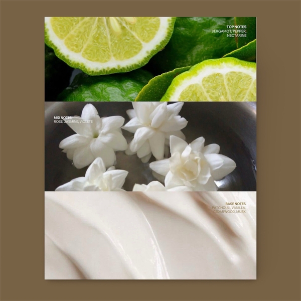 EMSPACE - Perfume Body Wash “COUTURE HOUSE” (580ml)