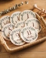 Baby Milestone Cards - Leaf