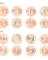 Baby Milestone Cards - Bear