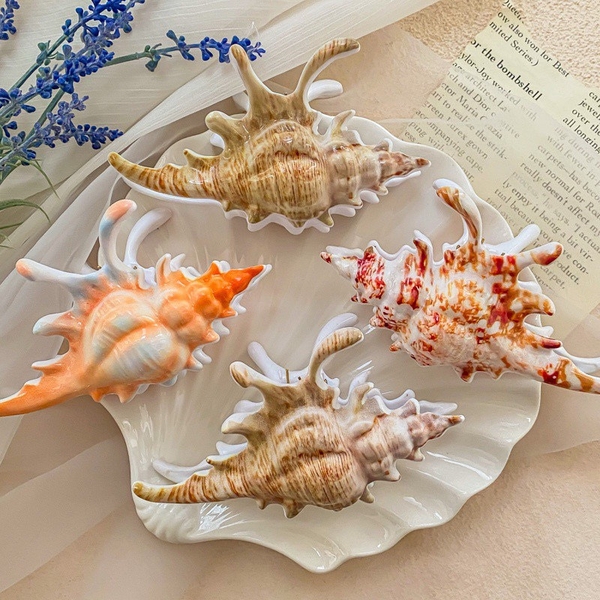 Hair Claw - Big Seashell in Orange