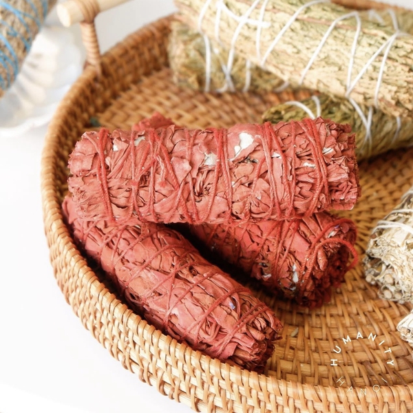 LABBI - Dragon Blood Sage