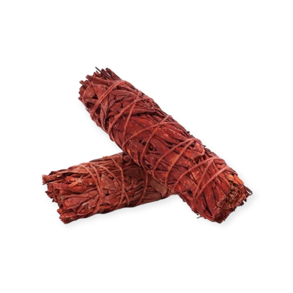 LABBI - Dragon Blood Sage