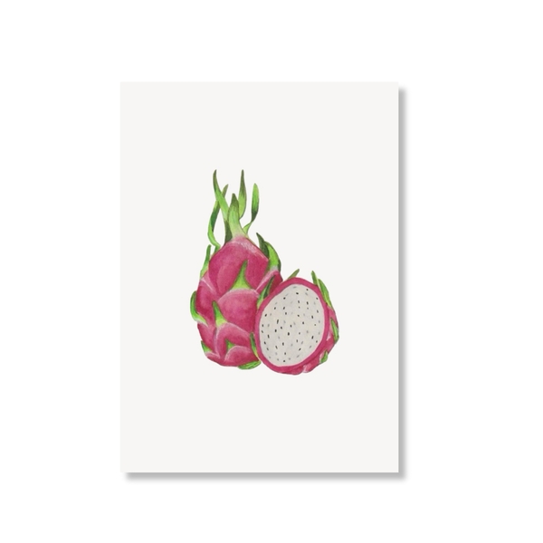 LAURIE DRAWS - 'Dragon Fruit' Postcard