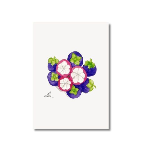 LAURIE DRAWS - 'Mangosteen' Postcard