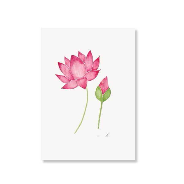 LAURIE DRAWS - ‘Lotus Flower No.01' Print